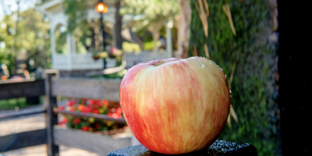Apple Weekend is November 6 and 7! – Peddler's Village